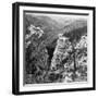 Wagons Snaking Through Black Hill's Castle Creek Valley During George Custer's Expedition-null-Framed Photographic Print