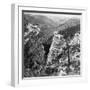 Wagons Snaking Through Black Hill's Castle Creek Valley During George Custer's Expedition-null-Framed Photographic Print