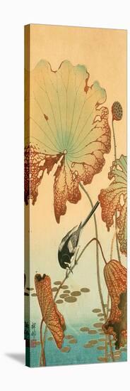 Wagtail and Lotus-Koson Ohara-Stretched Canvas