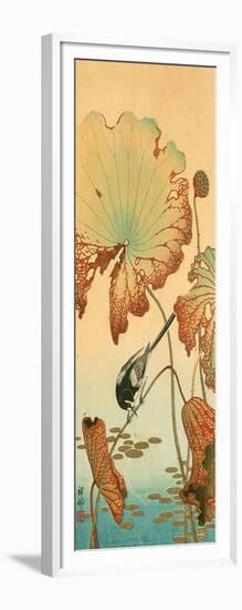 Wagtail and Lotus-Koson Ohara-Framed Giclee Print