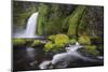 Wahclella Falls along Tanner Creek, Columbia River Gorge, Oregon-Adam Jones-Mounted Photographic Print