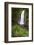 Wahclella Falls along Tanner Creek, Columbia River Gorge, Oregon-Adam Jones-Framed Photographic Print