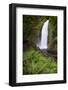 Wahclella Falls along Tanner Creek, Columbia River Gorge, Oregon-Adam Jones-Framed Photographic Print