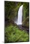 Wahclella Falls along Tanner Creek, Columbia River Gorge, Oregon-Adam Jones-Mounted Photographic Print