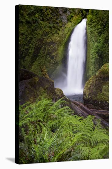 Wahclella Falls along Tanner Creek, Columbia River Gorge, Oregon-Adam Jones-Stretched Canvas