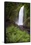 Wahclella Falls along Tanner Creek, Columbia River Gorge, Oregon-Adam Jones-Framed Stretched Canvas