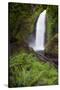 Wahclella Falls along Tanner Creek, Columbia River Gorge, Oregon-Adam Jones-Stretched Canvas