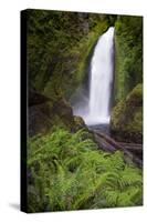 Wahclella Falls along Tanner Creek, Columbia River Gorge, Oregon-Adam Jones-Stretched Canvas