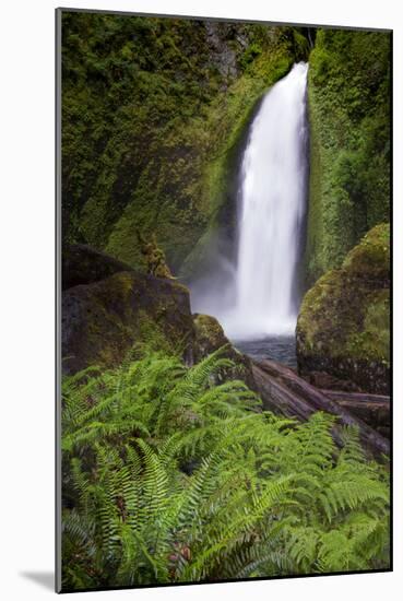 Wahclella Falls along Tanner Creek, Columbia River Gorge, Oregon-Adam Jones-Mounted Photographic Print