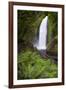 Wahclella Falls along Tanner Creek, Columbia River Gorge, Oregon-Adam Jones-Framed Photographic Print