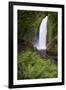 Wahclella Falls along Tanner Creek, Columbia River Gorge, Oregon-Adam Jones-Framed Photographic Print