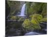 Wahclella Falls, Columbia River Gorge-Howie Garber-Mounted Photographic Print