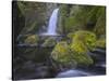 Wahclella Falls, Columbia River Gorge-Howie Garber-Stretched Canvas