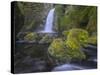 Wahclella Falls, Columbia River Gorge-Howie Garber-Stretched Canvas