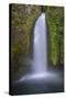 Wahclella Falls, Columbia River Gorge-Howie Garber-Stretched Canvas