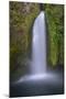 Wahclella Falls, Columbia River Gorge-Howie Garber-Mounted Photographic Print