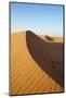 Wahiba Sands Desert, Oman, Middle East-Sergio Pitamitz-Mounted Photographic Print