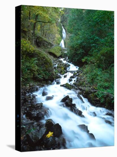 Wahkeena Falls, Columbia River Gorge National Scenic Area, Multnomah County, Oregon, USA-null-Stretched Canvas