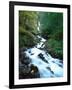 Wahkeena Falls, Columbia River Gorge National Scenic Area, Multnomah County, Oregon, USA-null-Framed Photographic Print