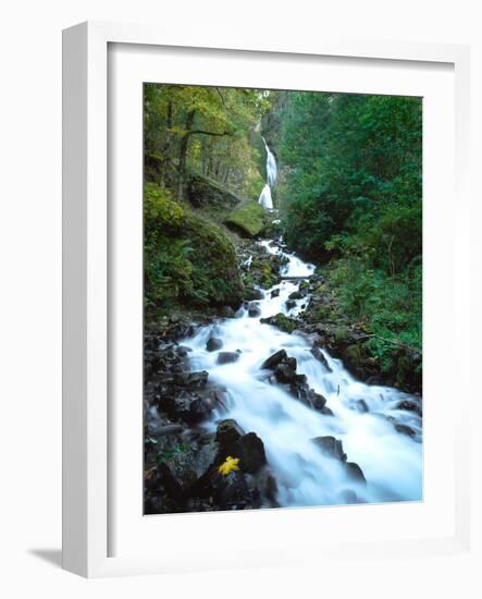 Wahkeena Falls, Columbia River Gorge National Scenic Area, Multnomah County, Oregon, USA-null-Framed Photographic Print