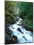 Wahkeena Falls, Columbia River Gorge National Scenic Area, Multnomah County, Oregon, USA-null-Mounted Photographic Print