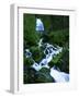 Wahkeena Falls, Columbia River Gorge, Oregon, USA-Charles Gurche-Framed Photographic Print