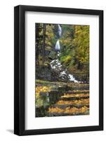 Wahkeena Falls-Steve Terrill-Framed Photographic Print