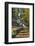 Wahkeena Falls-Steve Terrill-Framed Photographic Print