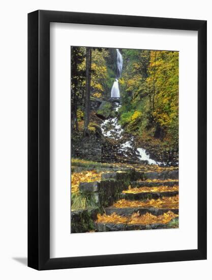 Wahkeena Falls-Steve Terrill-Framed Photographic Print