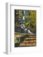 Wahkeena Falls-Steve Terrill-Framed Photographic Print