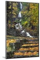 Wahkeena Falls-Steve Terrill-Mounted Photographic Print