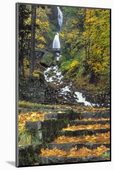 Wahkeena Falls-Steve Terrill-Mounted Photographic Print