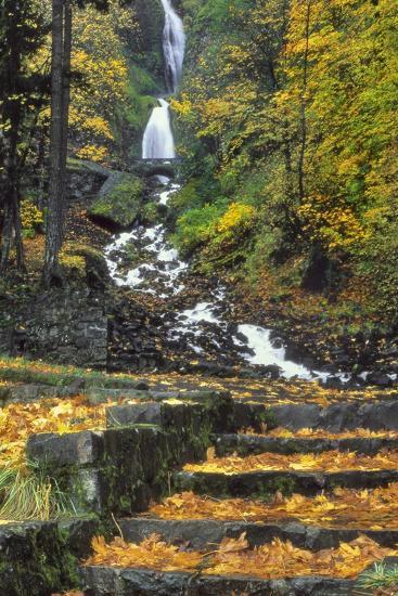 'Wahkeena Falls' Photographic Print - Steve Terrill | AllPosters.com