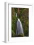 Wahkeena Falls-Bill Sherrell-Framed Photographic Print