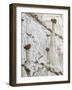 Wahweap Hoodoos, Arizona, USA-John Ford-Framed Photographic Print