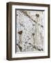 Wahweap Hoodoos, Arizona, USA-John Ford-Framed Photographic Print