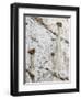 Wahweap Hoodoos, Arizona, USA-John Ford-Framed Photographic Print