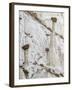 Wahweap Hoodoos, Arizona, USA-John Ford-Framed Photographic Print