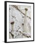 Wahweap Hoodoos, Arizona, USA-John Ford-Framed Photographic Print