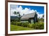 Wai'Oli Hui'Ia Church in Hanalai on the Island of Kauai, Hawaii, United States of America, Pacific-Michael Runkel-Framed Photographic Print