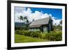 Wai'Oli Hui'Ia Church in Hanalai on the Island of Kauai, Hawaii, United States of America, Pacific-Michael Runkel-Framed Photographic Print