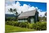 Wai'Oli Hui'Ia Church in Hanalai on the Island of Kauai, Hawaii, United States of America, Pacific-Michael Runkel-Mounted Photographic Print