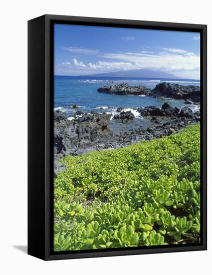 Waialua Bay-Guido Cozzi-Framed Stretched Canvas