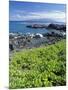 Waialua Bay-Guido Cozzi-Mounted Photographic Print