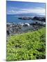 Waialua Bay-Guido Cozzi-Mounted Photographic Print