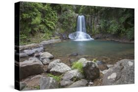 Waiau Falls on 309 Road, Coromandel Peninsula, Waikato, North Island, New Zealand, Pacific-Ian-Stretched Canvas
