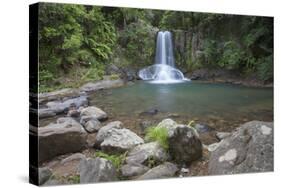 Waiau Falls on 309 Road, Coromandel Peninsula, Waikato, North Island, New Zealand, Pacific-Ian-Stretched Canvas