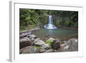 Waiau Falls on 309 Road, Coromandel Peninsula, Waikato, North Island, New Zealand, Pacific-Ian-Framed Photographic Print