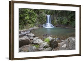 Waiau Falls on 309 Road, Coromandel Peninsula, Waikato, North Island, New Zealand, Pacific-Ian-Framed Photographic Print
