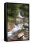 Waiau Falls on 309 Road, Coromandel Peninsula, Waikato, North Island, New Zealand, Pacific-Ian-Framed Stretched Canvas